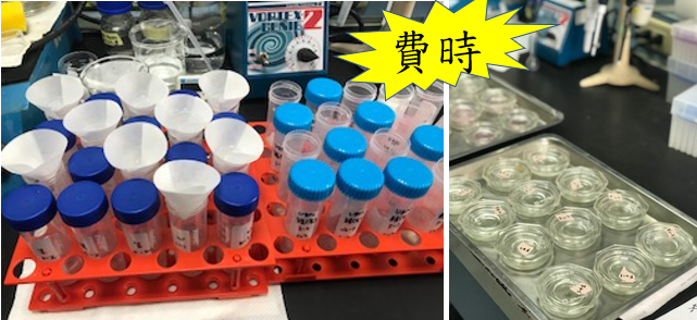 Figure 1. Volatile basic nitrogen (VBN) inspection process of fishery products