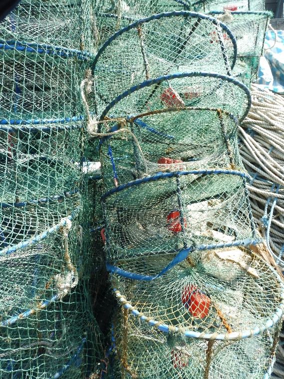 Figure 2   Crab cage used in northern Taiwan fisheries.