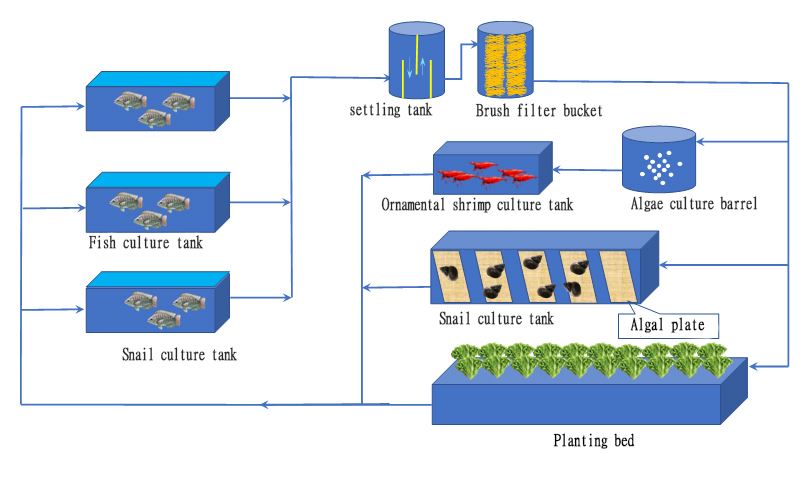 Figure 1 Innovative Aquaponic System