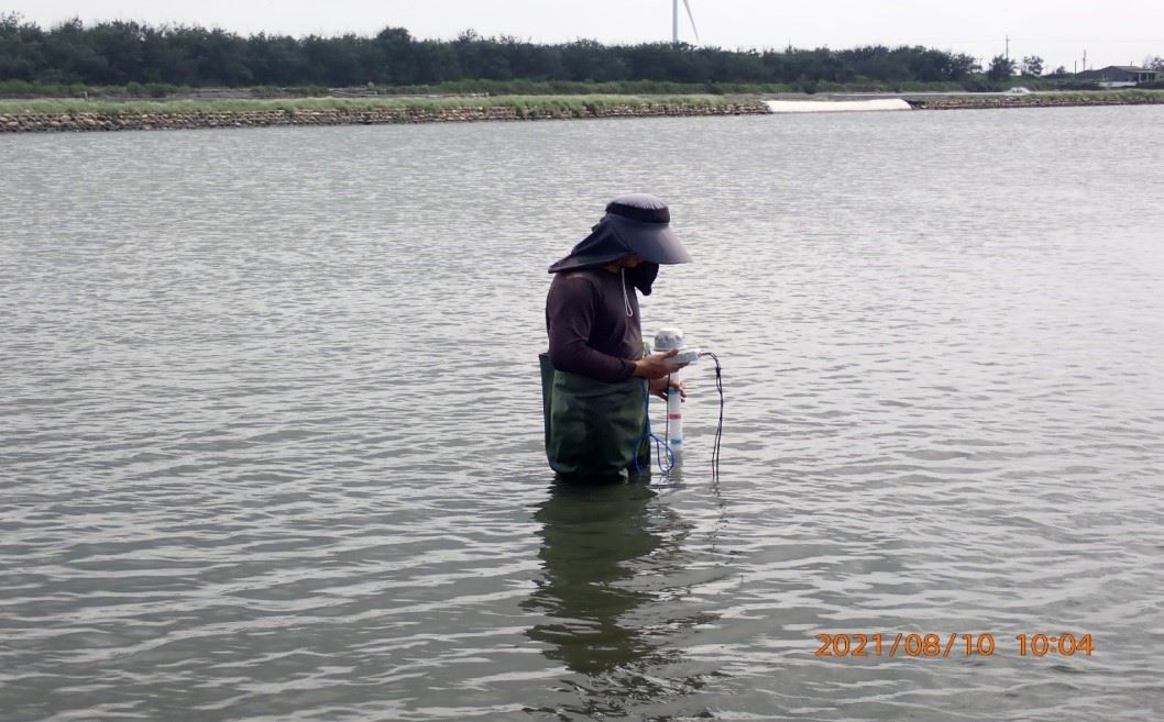 Strengthen water quality management and timely adjust management operations in summer to achieve results in breeding efficiency with half the effort